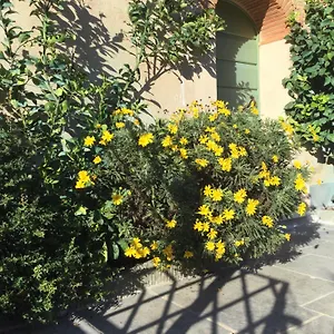 Ferienhaus Casa Mita Con Pacchetto Mare Incluso